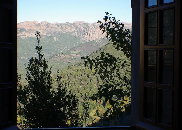 , Maison De Avec Exterieur Et Terrasse Fleurie Meuble Tourisme 3 Etoiles 펜션 Santa-Lucia-di-Tallano