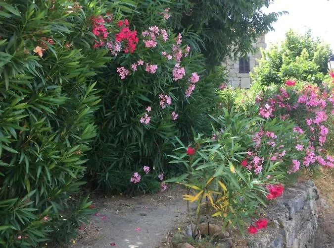 , Maison De Avec Exterieur Et Terrasse Fleurie Meuble Tourisme 3 Etoiles * Santa-Lucia-di-Tallano