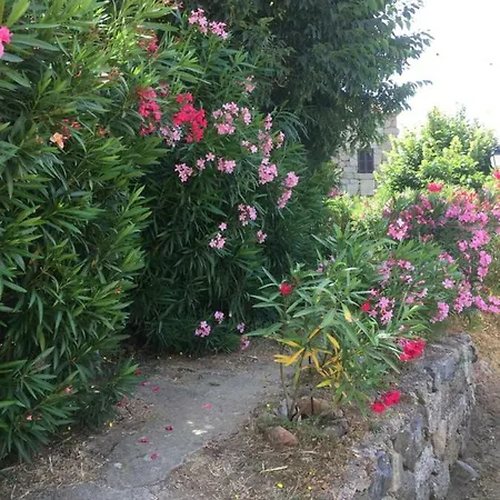 , Maison De Avec Exterieur Et Terrasse Fleurie Meuble Tourisme 3 Etoiles * Santa-Lucia-di-Tallano